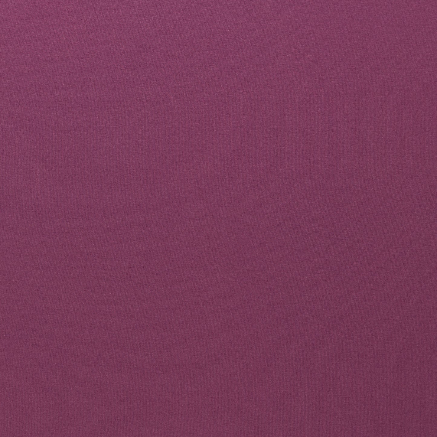 Baumwolljersey | Uni | Beerenlila