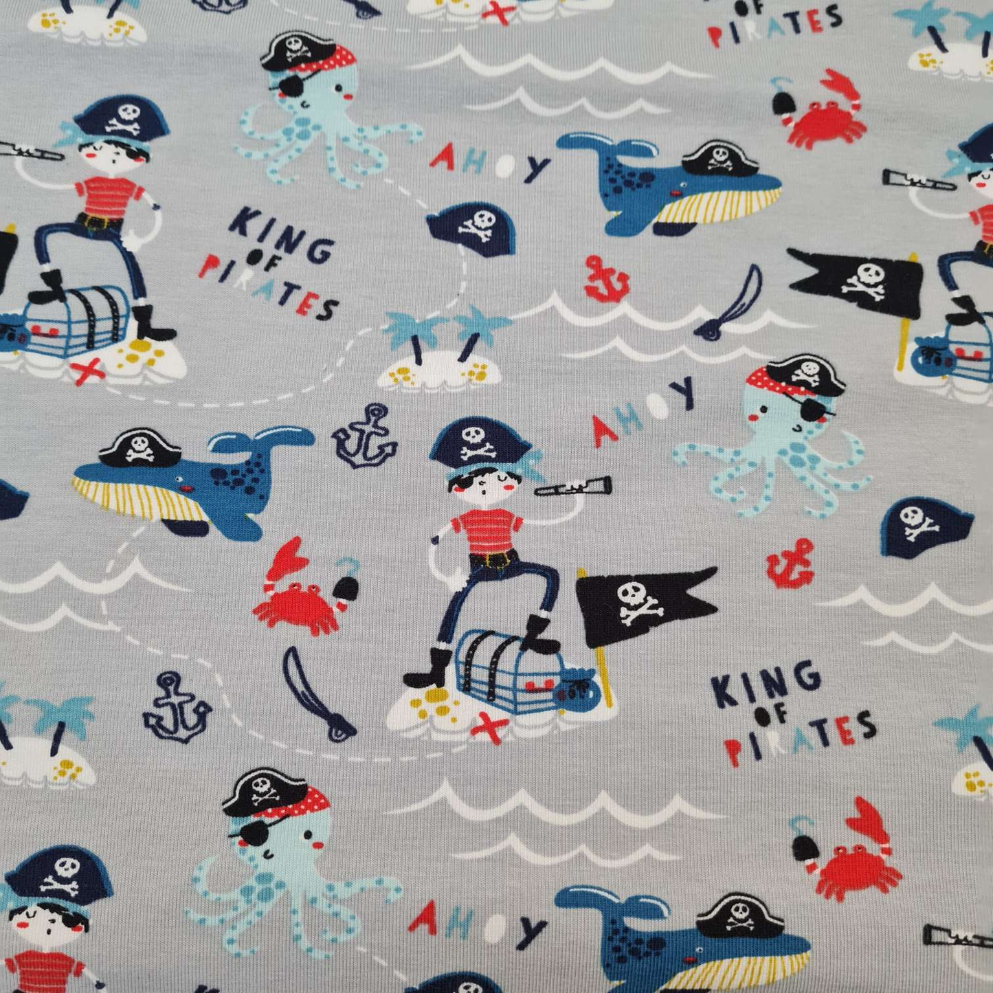 50cm Abschnitte Baumwolljersey | Piraten | Hellgrau