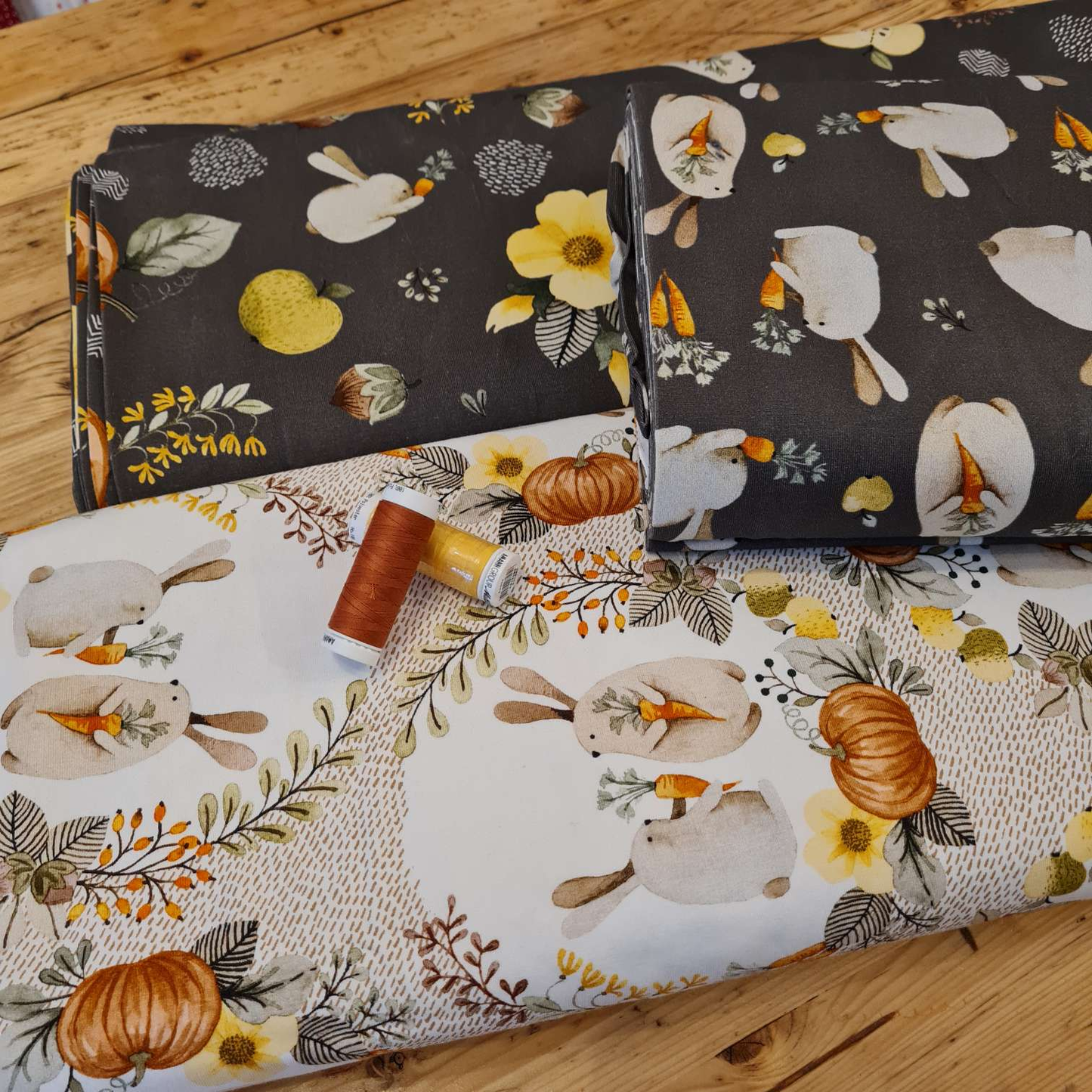 Baumwolljersey | Kürbisse | Braun