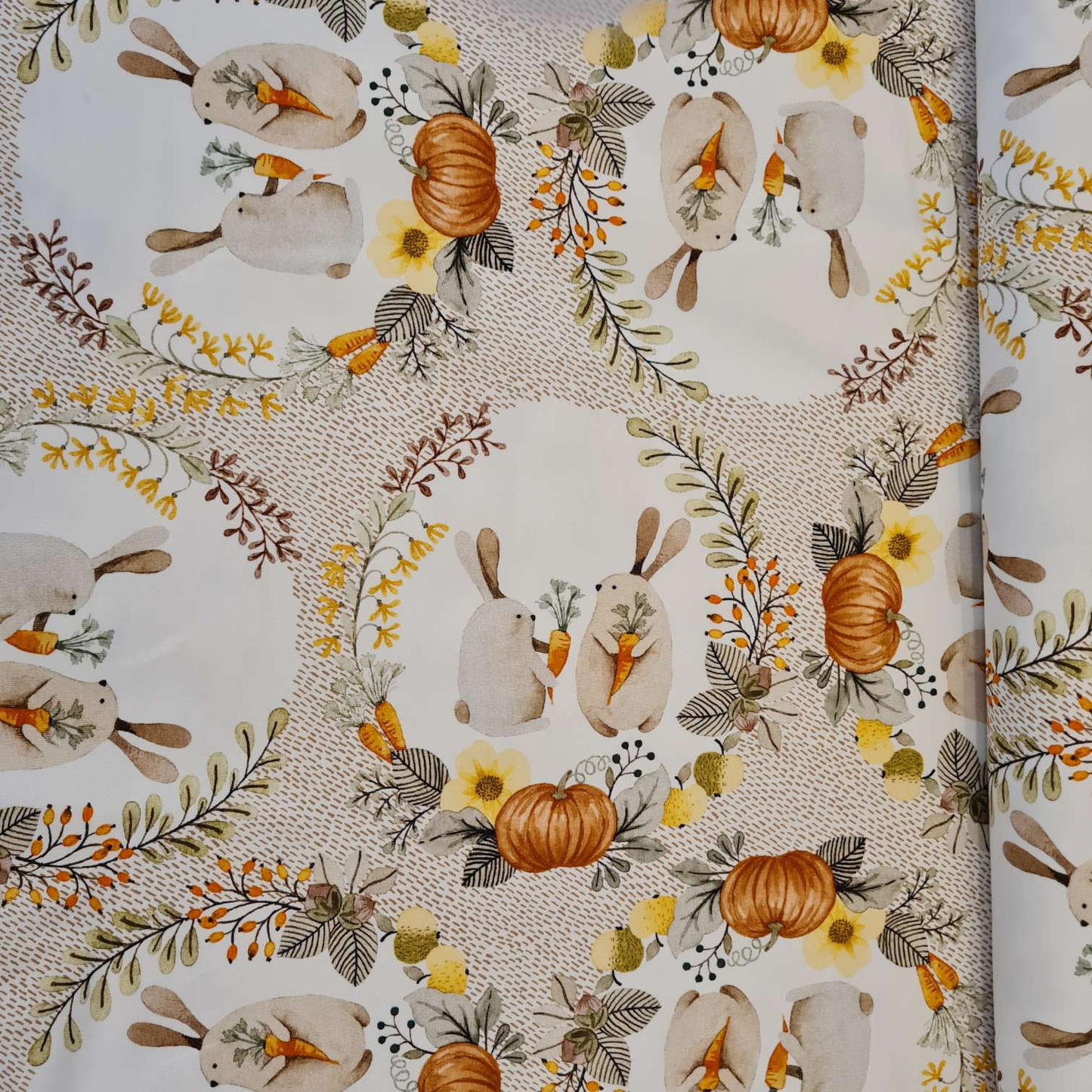 Baumwolljersey | Hasen & Kürbisse | Beige