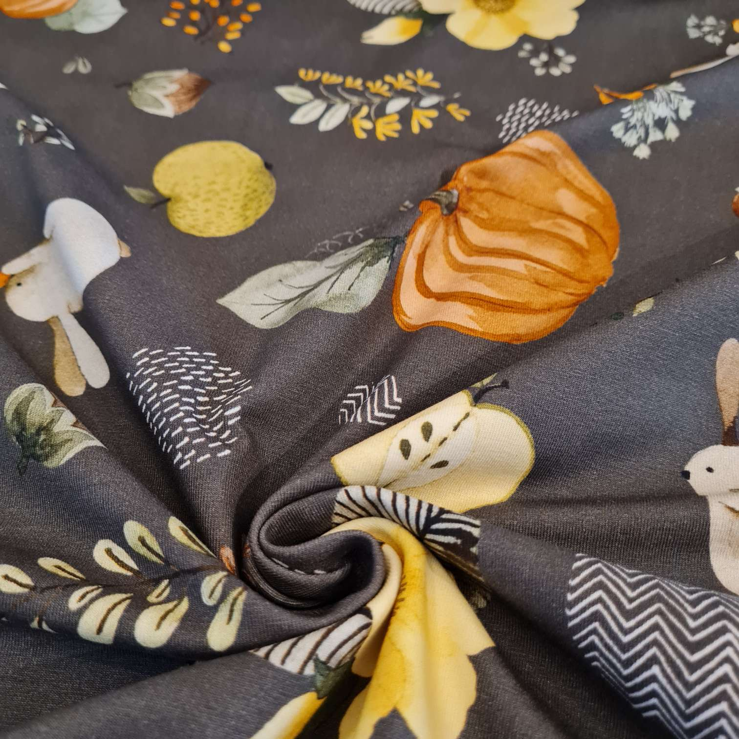 Baumwolljersey | Kürbisse | Braun