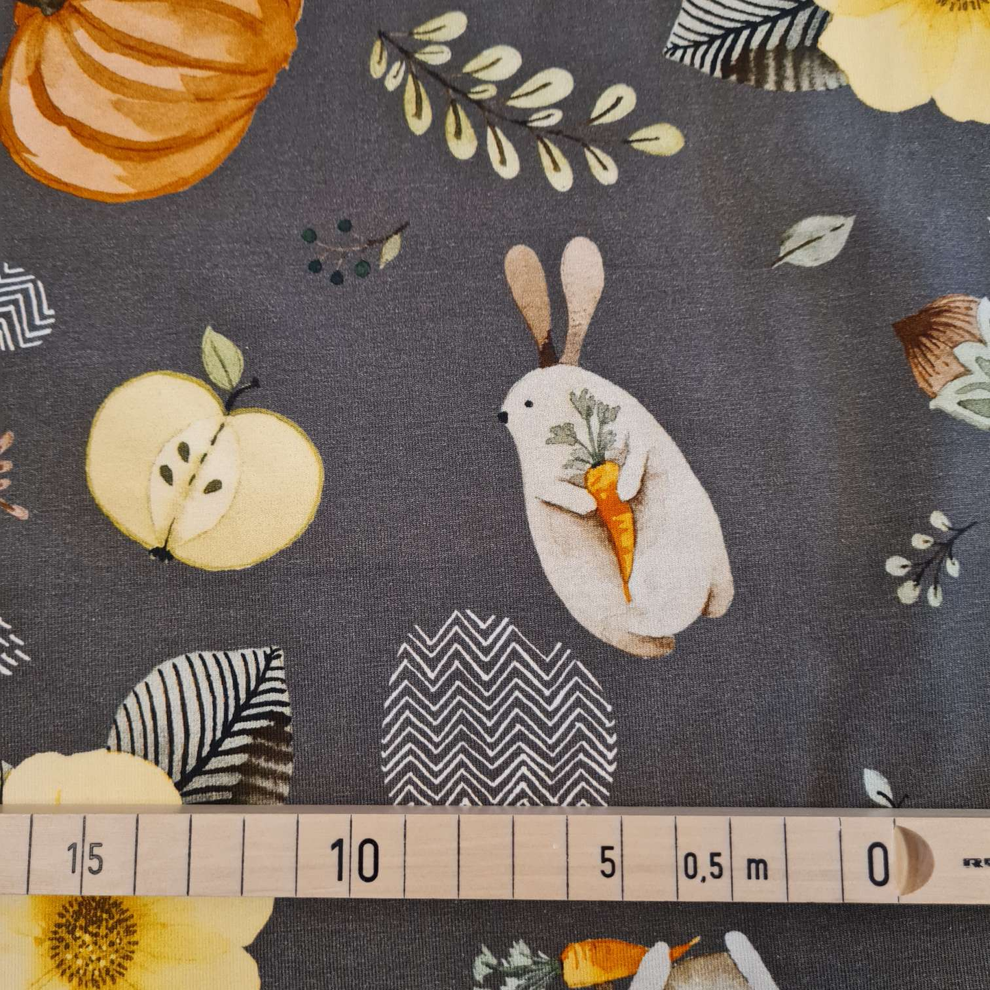 Baumwolljersey | Kürbisse | Braun