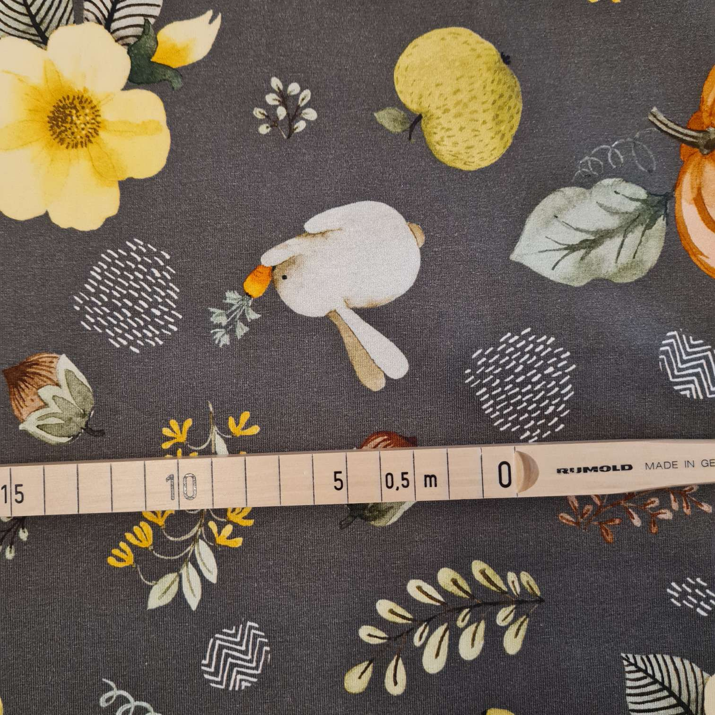 Baumwolljersey | Kürbisse | Braun