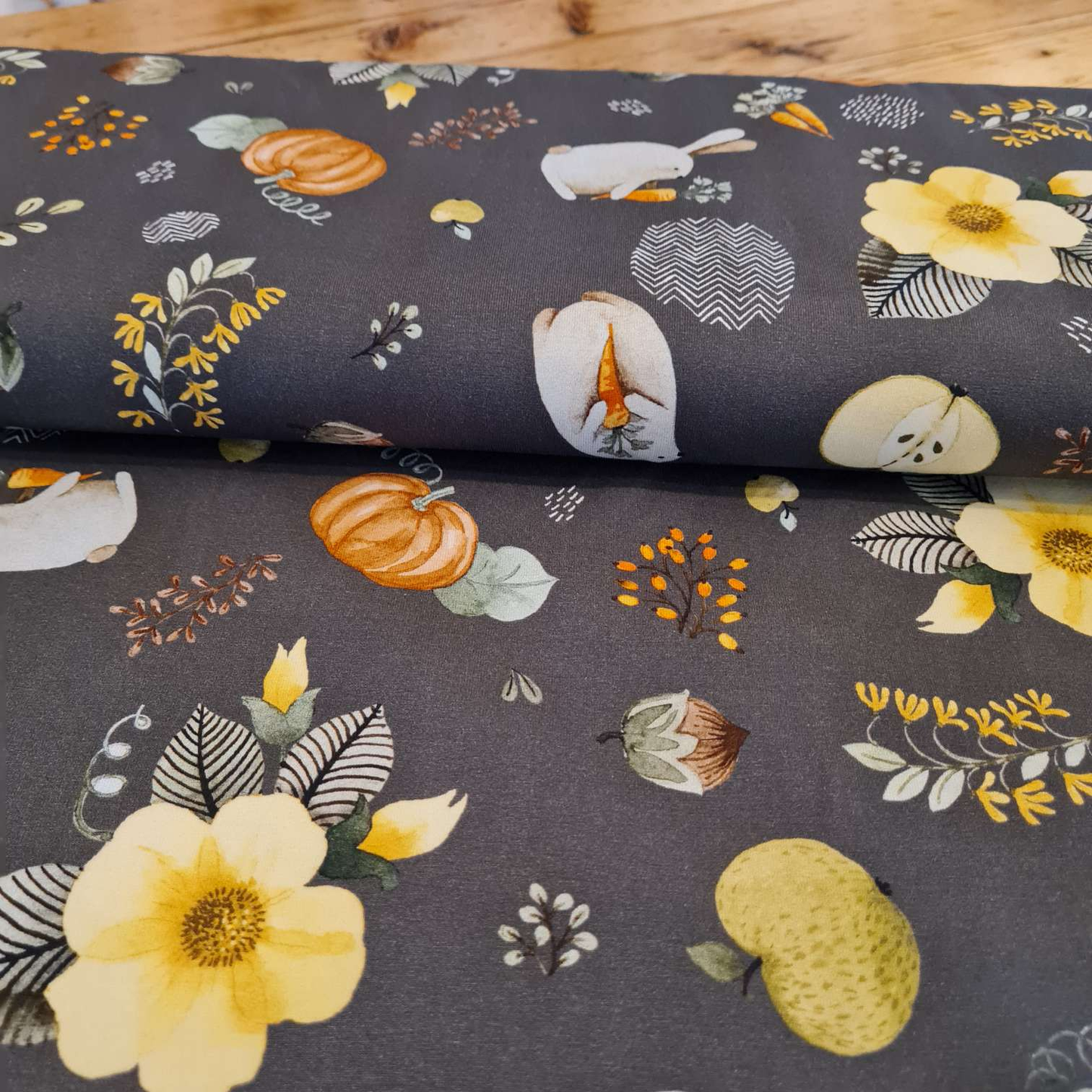 Baumwolljersey | Kürbisse | Braun