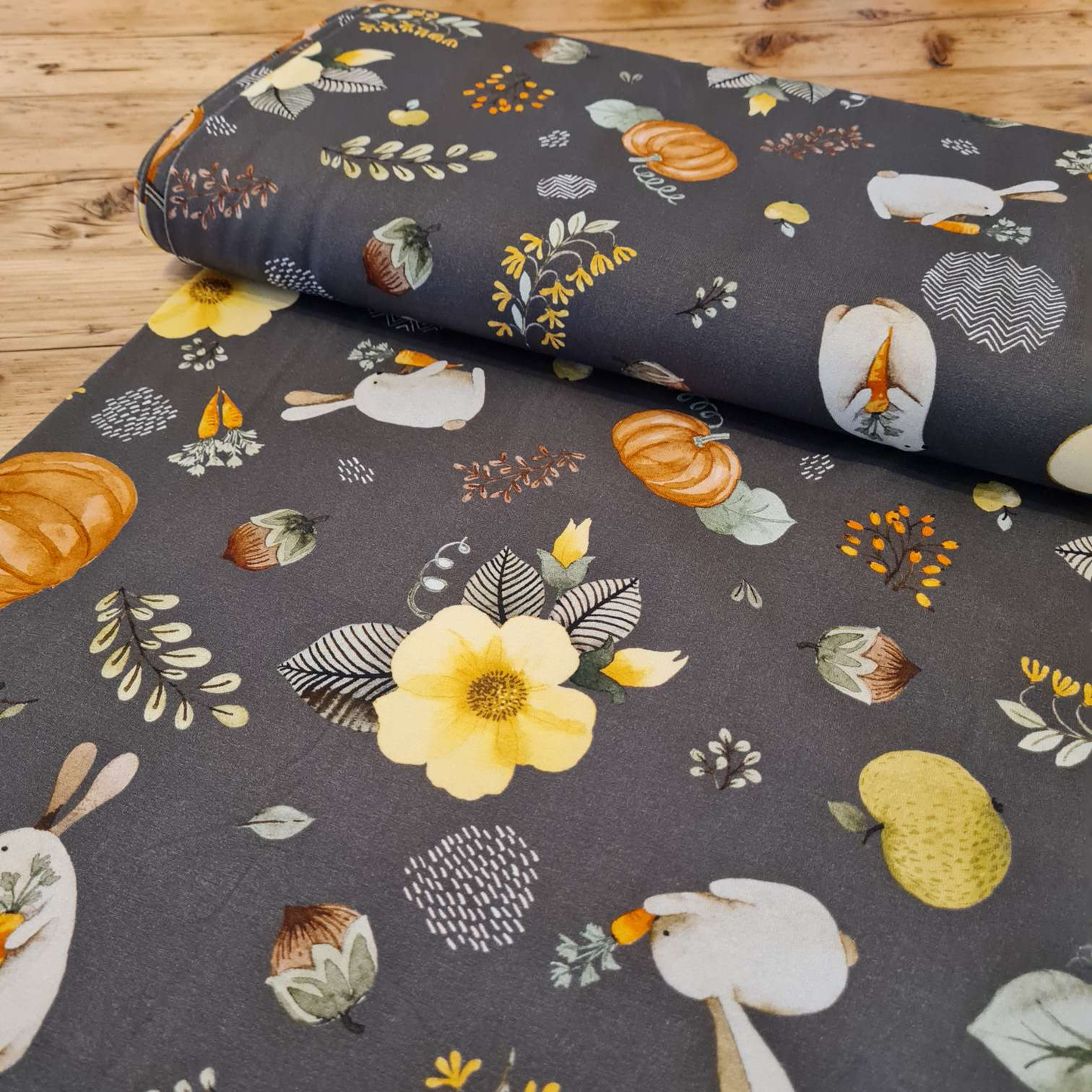 Baumwolljersey | Kürbisse | Braun