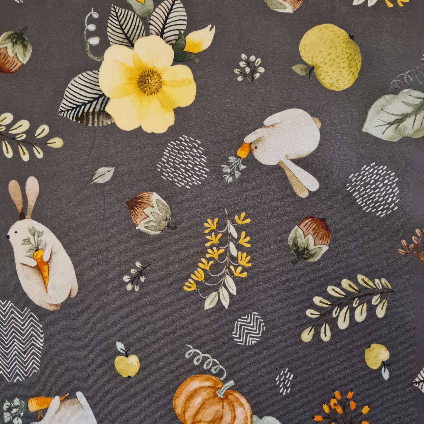 Baumwolljersey | Kürbisse | Braun